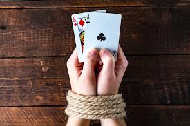 Вход на официальный сайт Pelican Casino